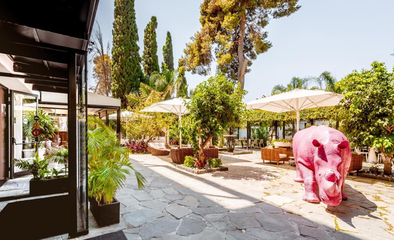 Lear Sense Hotel Gedera Εξωτερικό φωτογραφία